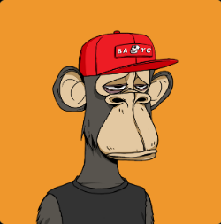 BAYC